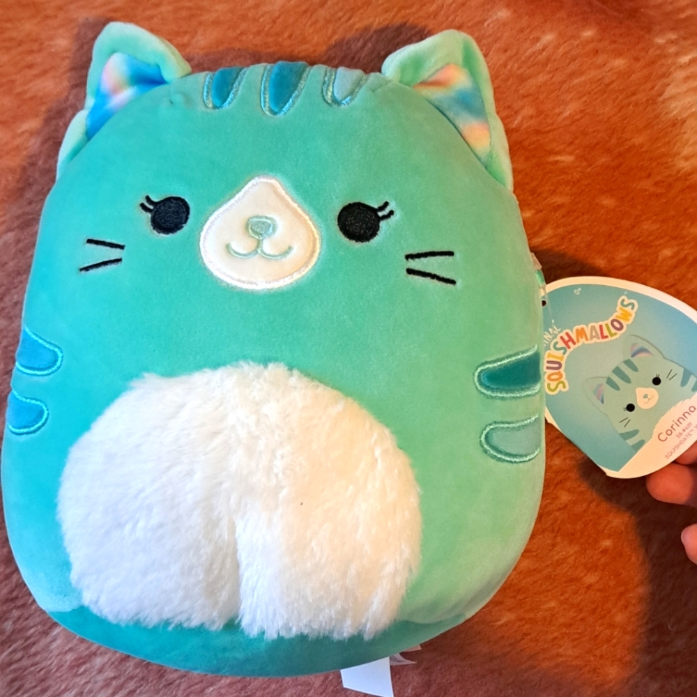 Brand new with tag cat squishmallow